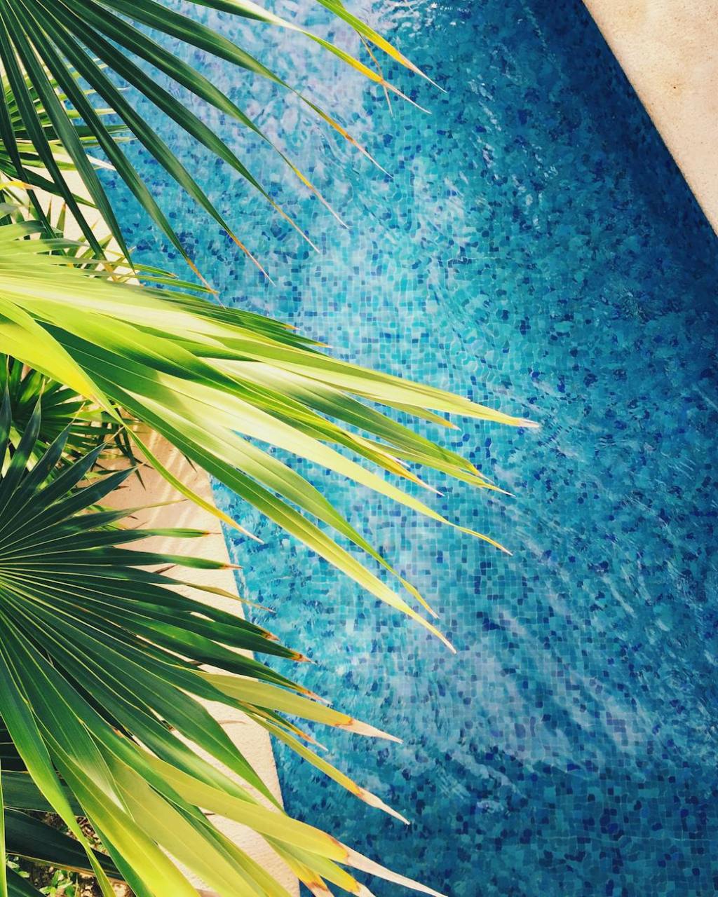 Arquiste Launches New Fragrance,&nbsp;Tropical